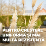 Ingrasamant pentru Bambus si Ierburi Ornamentale, 850 g, 22 m², Formula Ecologica, Efect de Lunga Durata 5 Luni, COMPO
