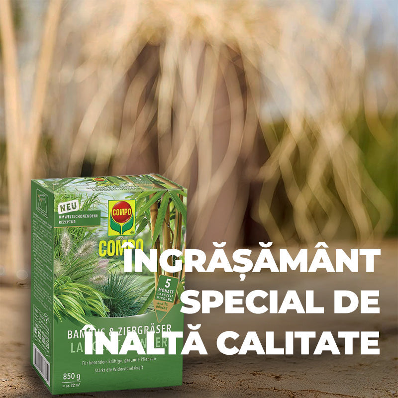 Ingrasamant pentru Bambus si Ierburi Ornamentale, 850 g, 22 m², Formula Ecologica, Efect de Lunga Durata 5 Luni, COMPO