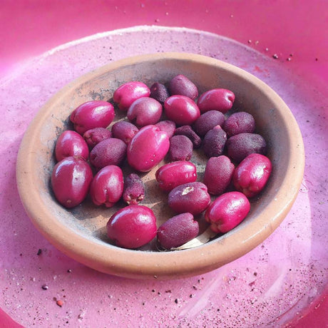 Red Lilli Pilli gyümölcs (Syzygium oleosum), cserépben, örökzöld díszcserje dekoratív piros levelekkel és ehető, édes-savanykás piros termésekkel