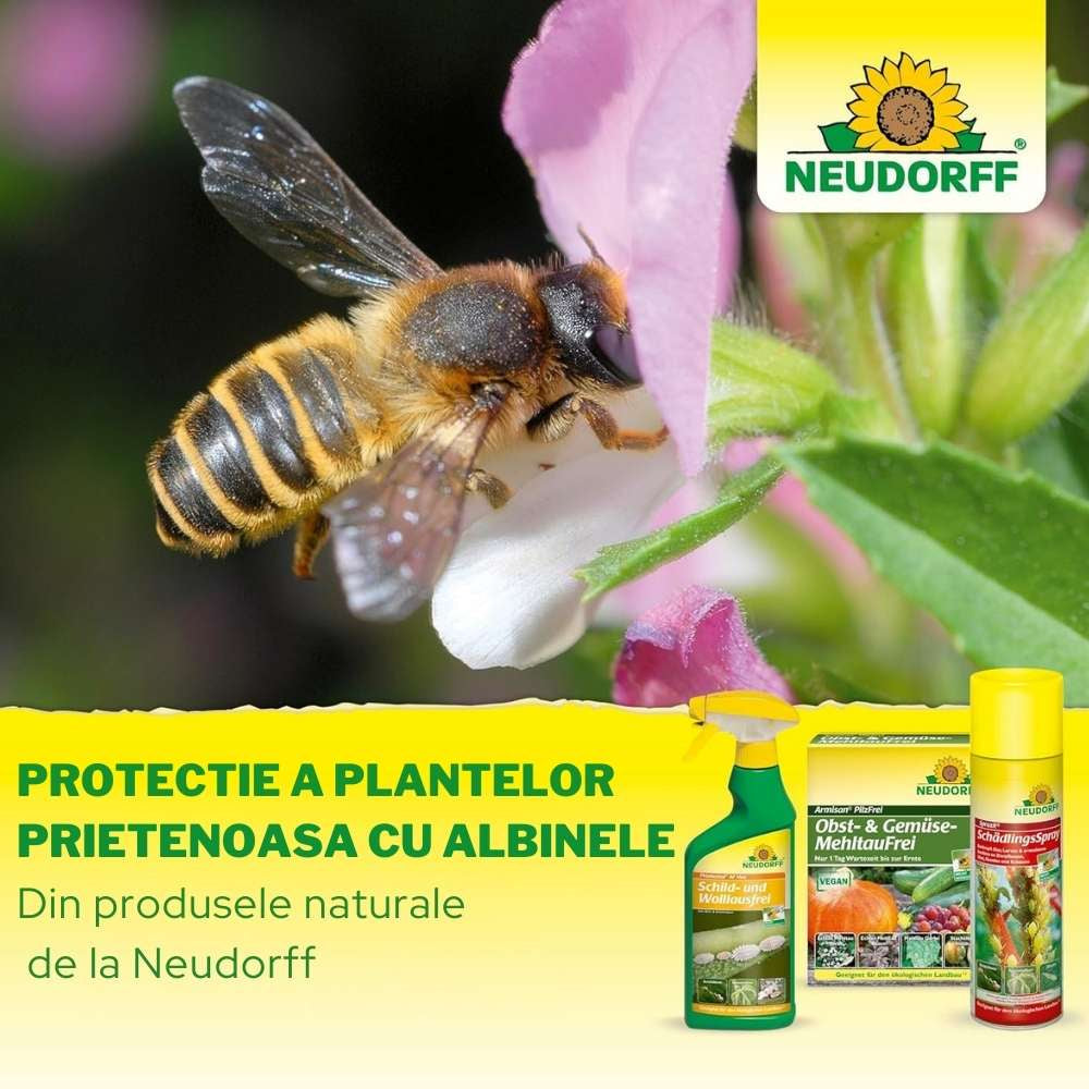 Spray insecticid NEUDORFF Neudosan AF impotriva afidelor, musculitei albe si acarienilor, 250 ml