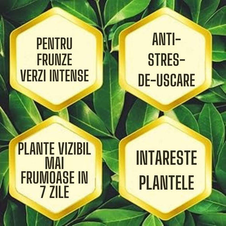 Ingrasamant lichid SUBSTRAL pentru plante verzi, biostimulator natural pentru cresteri puternice, 500 ml
