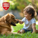 Erbicid selectiv PROTECT GARDEN Loredo Quattro pentru gazon, combatere buruieni cu frunza lata, 400 ml