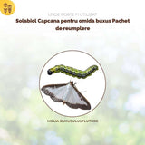 Rezerva capcana molia cimisirului SOLABIOL cu feromon, set 2 bucati