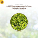 Rezerva capcana molia cimisirului SOLABIOL cu feromon, set 2 bucati