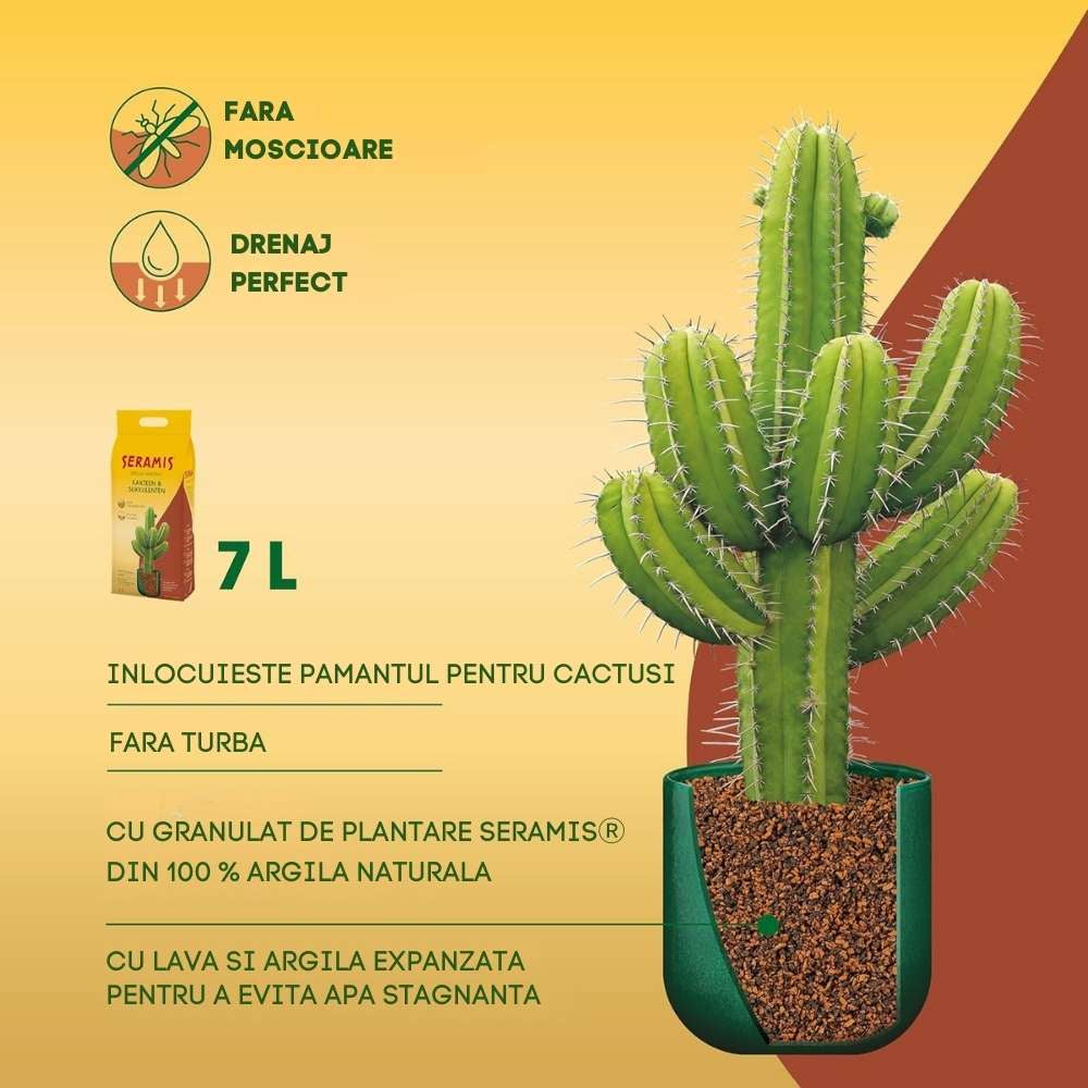 Granule de argila SERAMIS pentru cactusi si suculente, granule de argila cu drenaj excelent, inlocuitor total de sol, 2.5 litri