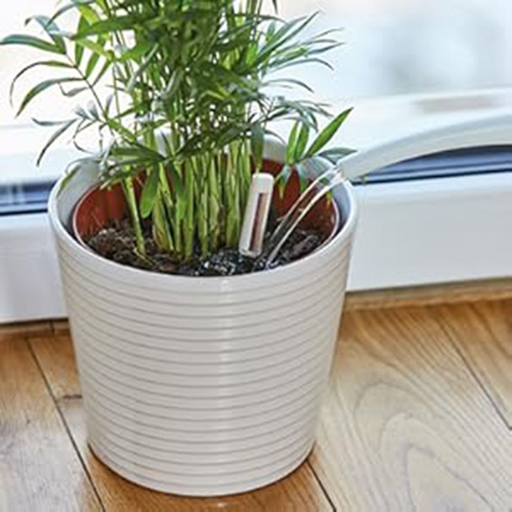 Indicator udare plante WESTLAND pentru toate plantele in ghiveci, control umiditate sol, 16 cm, alb