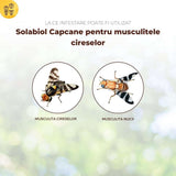 Capcane cu feromoni SOLABIOL pentru musca ciresei si musca nucului, 5 buc, lipici rezistent la apa, fara insecticide