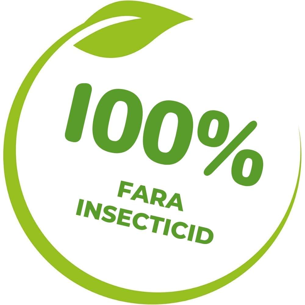 Capcane cu feromoni SOLABIOL pentru musca ciresei si musca nucului, 5 buc, lipici rezistent la apa, fara insecticide
