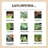 Spray plante SUBSTRAL Naturen Urtica, solutie organica pentru vitalitate, protectie naturala si reducerea daunatorilor, 750 ml