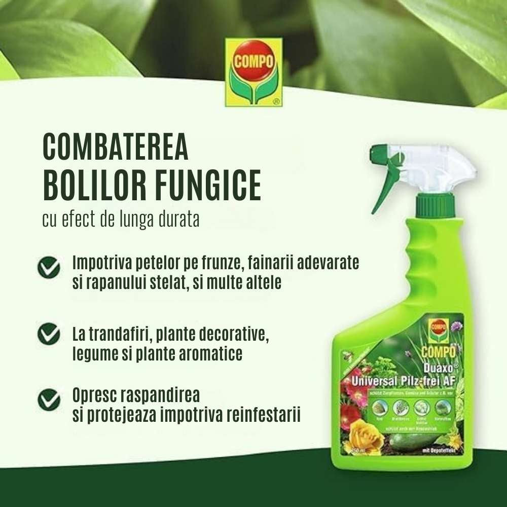 Spray insecticid COMPO Triathlon Insect Free AF pentru legume, capsuni si plante ornamentale, 750 ml