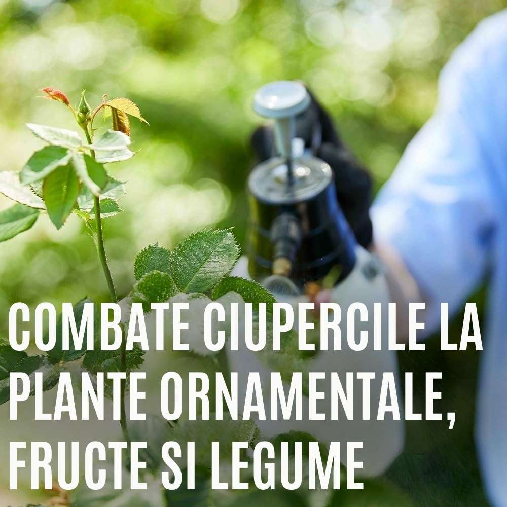 Spray insecticid COMPO Triathlon Insect Free AF pentru legume, capsuni si plante ornamentale, 750 ml