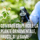 Spray insecticid COMPO Triathlon Insect Free AF pentru legume, capsuni si plante ornamentale, 750 ml