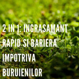 COMPO gyepműtrágya gyomgátlással – szerves-ásványi, 6–8 hetes hatás, 10 kg / 200 m²