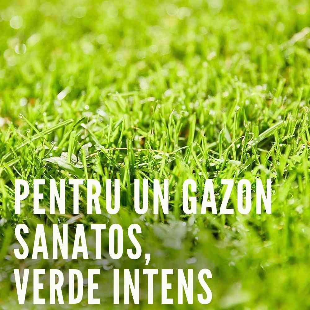 COMPO gyepműtrágya gyomgátlással – szerves-ásványi, 6–8 hetes hatás, 10 kg / 200 m²