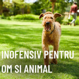 COMPO gyepműtrágya gyomgátlással – szerves-ásványi, 6–8 hetes hatás, 10 kg / 200 m²