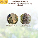 Vopsea trunchi arbori Solabiol, vopsea alba pentru protectie organica, 1 kg