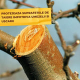 Vopsea trunchi arbori Solabiol, vopsea alba pentru protectie organica, 1 kg