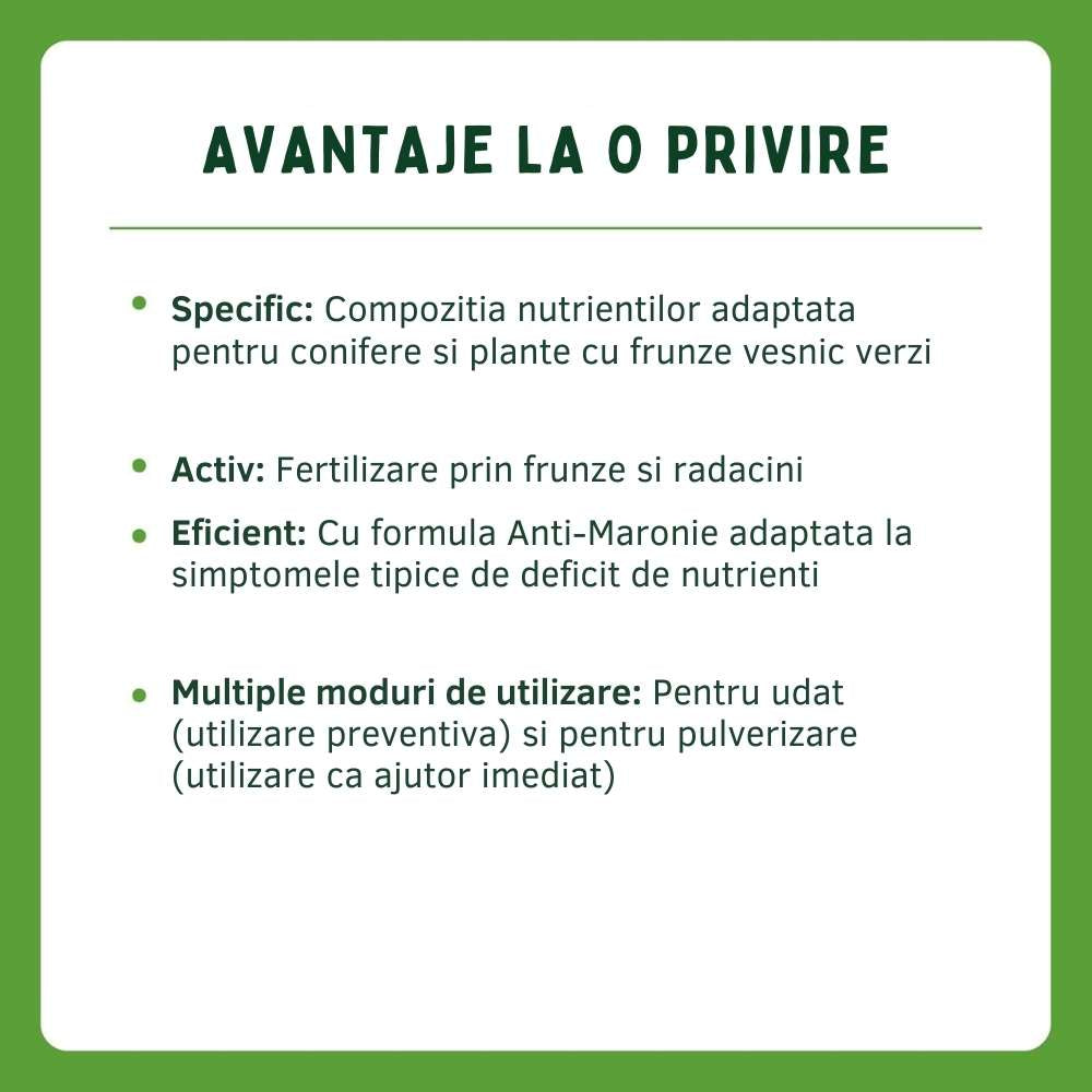 Fertilizant lichid SUBSTRAL pentru tuia si arbori vesnic verzi, formula anti-brunificare, 500 ml