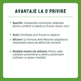 Fertilizant lichid SUBSTRAL pentru tuia si arbori vesnic verzi, formula anti-brunificare, 500 ml
