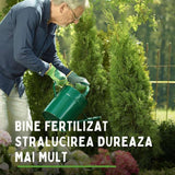 Fertilizant lichid SUBSTRAL pentru tuia si arbori vesnic verzi, formula anti-brunificare, 500 ml