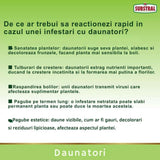 Spray plante ornamentale SUBSTRAL Careo, insecticid sistemic impotriva afidelor, paduchilor lanosi, musculitei albe si omizilor, 800 ml