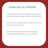 Spray Organic impotriva daunatorilor SUBSTRAL Careo Eco, protectie pentru plante ornamentale, 300 ml