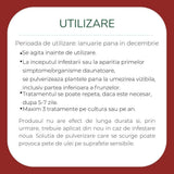 Spray Organic impotriva daunatorilor SUBSTRAL Careo Eco, protectie pentru plante ornamentale, 300 ml