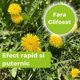 Glifozátmentes totális gyomirtó spray – PROTECT GARDEN Permaclean Express, 1 l