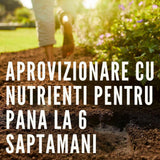 Pamant organic COMPO pentru semanat si plante aromatice, fara turba, substrat pentru rasaduri si butasi, 20 l