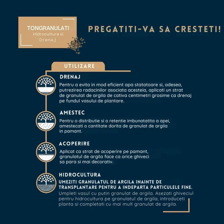 Granule argila WESTLAND pentru plante la ghiveci, drenaj si hidroponie, 6 l