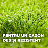 Seminte gazon Compo reparare completa mix 4 kg pentru 20 mp cu substrat si ingrasamant inclus