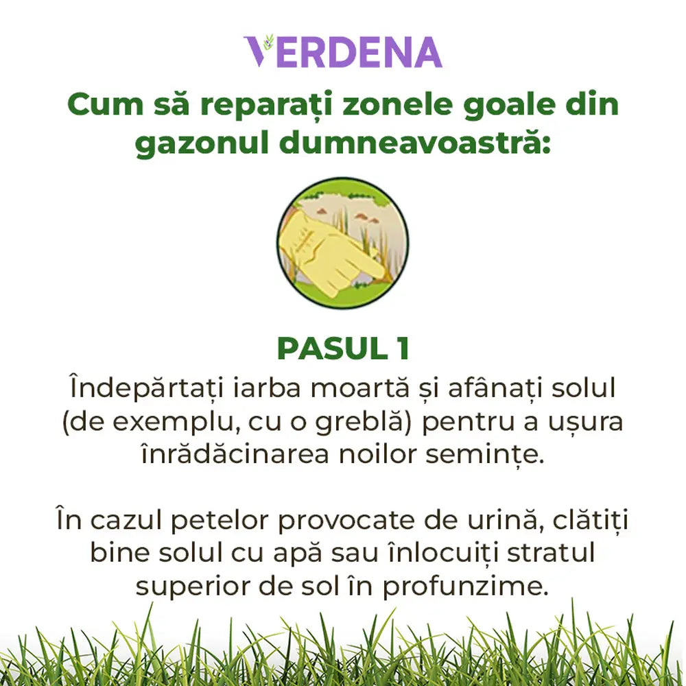 Reparare gazon Substral Plastura Magica 3 in 1, 1 kg, cu seminte gazon substrat si ingrasamant, pentru zone goale