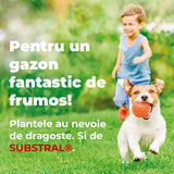 Reparare gazon Substral Plastura Magica 3 in 1, 3 kg, cu seminte gazon substrat si ingrasamant pentru zone goale