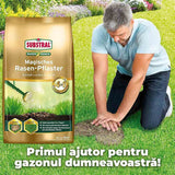 Reparare gazon Substral Plastura Magica 3 in 1, 3 kg, cu seminte gazon substrat si ingrasamant pentru zone goale