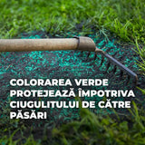 Compo seminte gazon rezistent la seceta si caldura 2 kg pentru 80 mp, amestec profesional pentru zone insorite si uscate