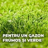Seminte gazon Compo Turbo regenerare rapida 2.6 kg pentru 130 mp cu germinare sigura si rapida