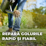 Compo seminte regenerare gazon cu accelerare germinare, 2 kg pentru 100 mp