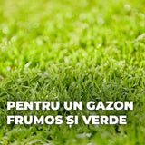 Compo turbo reseeding seminte gazon, 1 kg pentru 50 mp, regenerare rapida, amestec premium cu germinare rapida si siguranta ridicata
