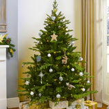 Brad de Craciun Nordmann (Abies Nordmanniana), brad vesnic verde, rezistent la ger, crestere moderata, Ideal pentru gradina sau craciun