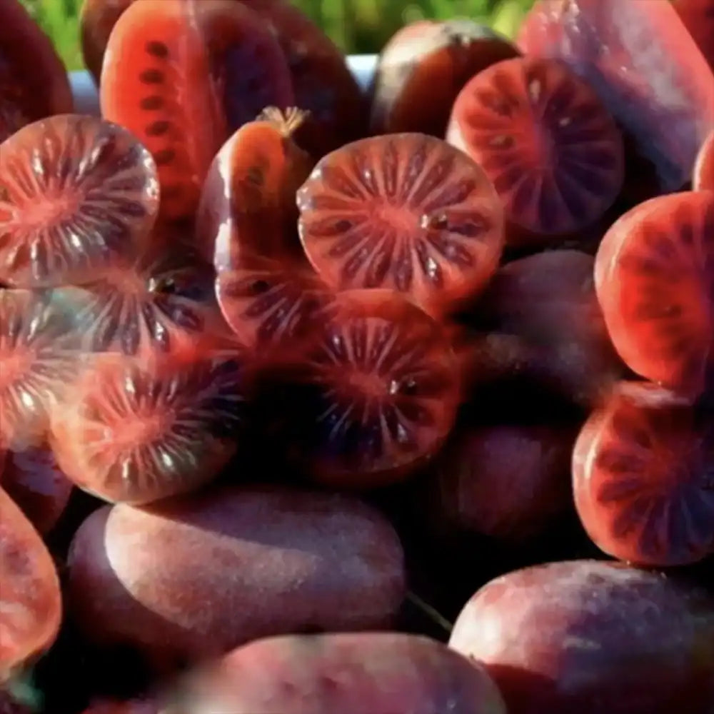 Kiwi de Siberia Geneva (Actinidia arguta), femela, cu fructe dulci rosii parfumate, bogate in vitamina C