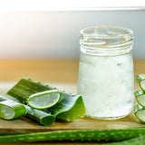 Aloe Vera Planta in Ghiveci, 15-25 cm, Gel Natural pentru Piele, Ingrijire si Vindecare