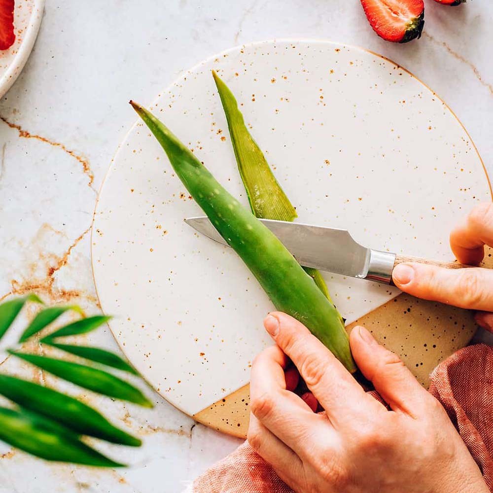Aloe Vera Planta in Ghiveci, 15-25 cm, Gel Natural pentru Piele, Ingrijire si Vindecare