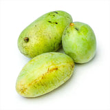 Bananierul Nordului (Asimina triloba Pawpaw), cu Fructe dulci, cremoase, cu aroma de banana si mango