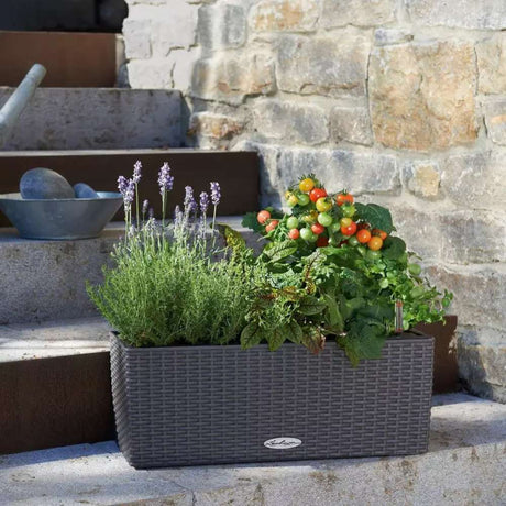 Lechuza Balconera Cottage 50 önöntöző balkonláda – rattan hatású, 8 l, gránit