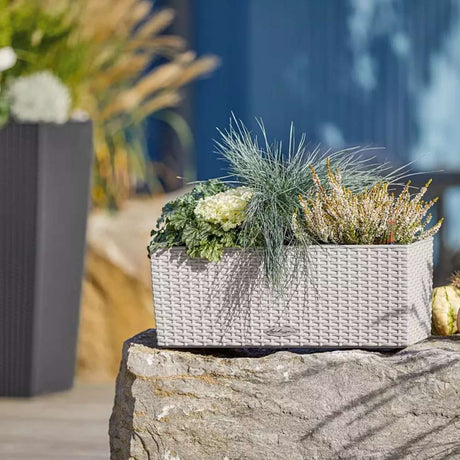 Lechuza Balconera Cottage 50 önöntöző balkonláda – világosszürke rattan hatású, 8 l