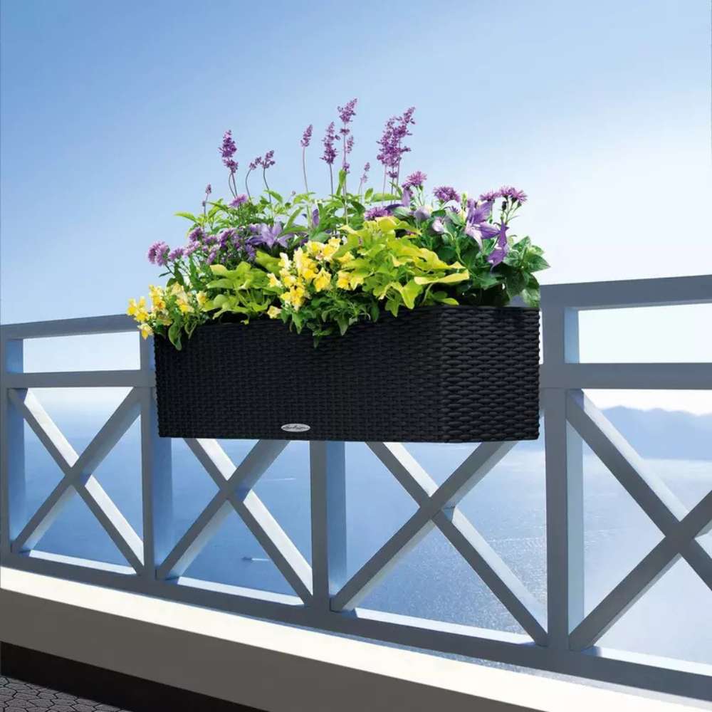Lechuza Balconera Cottage 80 önöntöző balkonláda – rattanhatású, fekete, 12 l