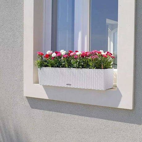 Lechuza Balconera Cottage 80 önöntöző balkonláda – 12 l, fehér rattan hatás