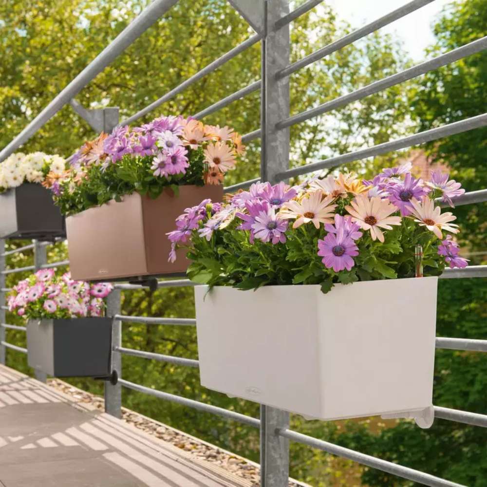 Lechuza Balconera Color 80 önöntöző balkonláda – 12 l, matt szürke