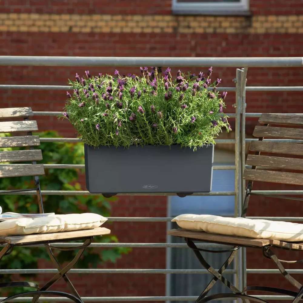Lechuza Balconera Color 50 önöntöző balkonláda – 8 l, matt fekete