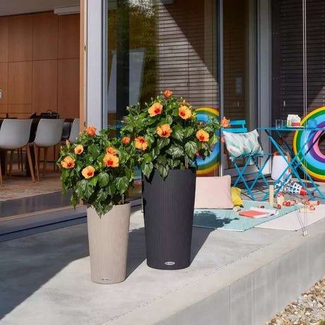 Lechuza Cilindro Color 23 önöntöző cserép – 5,5 l, matt bézs, beépített öntözőrendszerrel